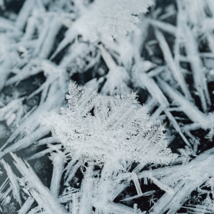 Ice Crystals in Grayscale Photography