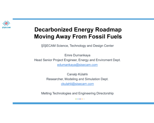 Decarbonized Energy Roadmap Moving Away From Fossil Fuels – E. Dumankaya