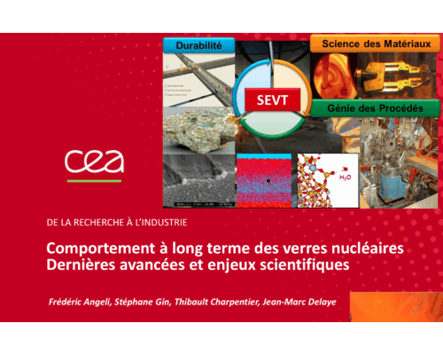 COMPORTEMENT A LONG TERME DES VERRES NUCLEAIRES – DERNIERES AVANCEES ET ENJEUX SCIENTIFIQUES – F. ANGELI  (CEA)