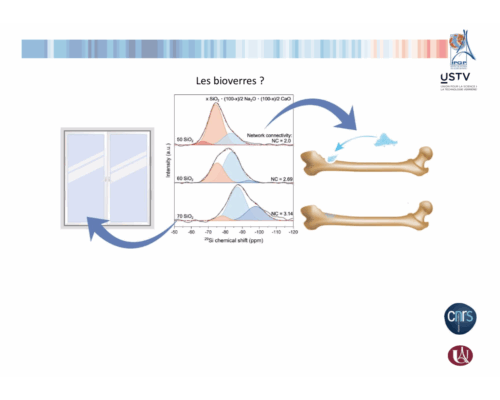 Imaginer de nouvelles compositions de verre 2/2 – Les bioverres – D. Neuville / L. Cormier / T. Arnal / N. Schibille