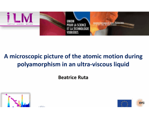 A MICROSCOPIC PICTURE OF THE ANIONIC MOTION DURING POLYAMORPHISMIN AN ULTRA-VISCOUS LIQUID – B. RUTA (ILM)