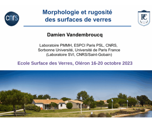 Morphologie et rugosité des surfaces de verres – D. Vandembroucq