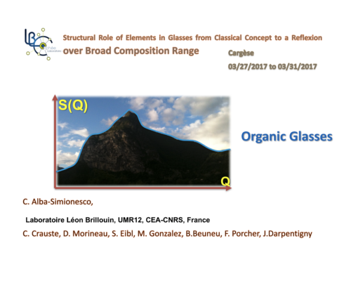 Organic glasses – C. Alba-Simionesco