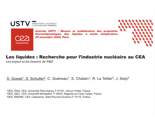 Les liquides : Recherche pour l’industrie nucléaire au CEA / Les enjeux et les besoins de R&D – S. Gossé / S. Schuller