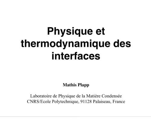 Physique et thermodynamique des interfaces – M. Plapp
