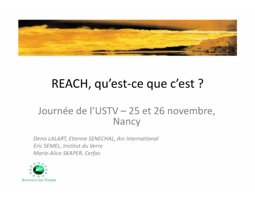 REACH, qu’est-ce que c’est ? – E. Semel