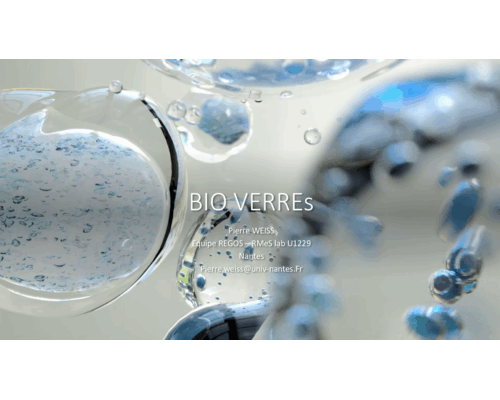 BIO VERREs – Pierre Weiss (RMes lab – Univ. Nantes)